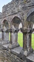 Cong Abbey &ndash; &copy; Sinah Witzig (Eberhardt TRAVEL)