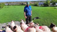 Atlantic Sheep Dogs &ndash; &copy; Constanze Maißel (Eberhardt TRAVEL)