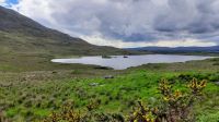 Connemara &ndash; &copy; Constanze Maißel (Eberhardt TRAVEL)