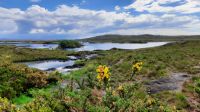 Connemara &ndash; &copy; Constanze Maißel (Eberhardt TRAVEL)