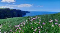 Cliffs of Moher &ndash; &copy; Constanze Maißel (Eberhardt TRAVEL)