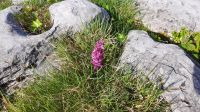 Burren &ndash; &copy; Constanze Maißel (Eberhardt TRAVEL)