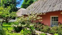 Bunratty Castle &ndash; &copy; Constanze Maißel (Eberhardt TRAVEL)