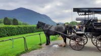 Muckross House and Gardens &ndash; &copy; Constanze Maißel (Eberhardt TRAVEL)
