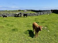 6. Reisetag – Aran Islands – Wanderung auf der Küstenstraße zum Steinfort Dun Aengus &ndash; &copy; Andreas Wolfsteller (Eberhardt TRAVEL)