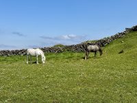 6. Reisetag – Aran Islands – Wanderung auf der Küstenstraße zum Steinfort Dun Aengus &ndash; &copy; Andreas Wolfsteller (Eberhardt TRAVEL)