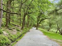 12. Reisetag – Wanderung in Glendalough zum Miners’ Village &ndash; &copy; Andreas Wolfsteller (Eberhardt TRAVEL)