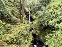12. Reisetag – Tag in den Wicklow Mountains – Regenwanderung in Glendalough – Poulanass Waterfall &ndash; &copy; Andreas Wolfsteller (Eberhardt TRAVEL)