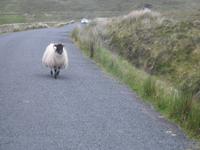 Ireland