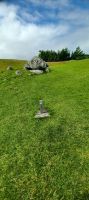 Steingräber bei Carrowmore &ndash; &copy; Barbara Pflicke (Eberhardt TRAVEL)
