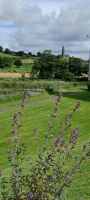 Rundturm in Castlebar &ndash; &copy; Barbara Pflicke (Eberhardt TRAVEL)