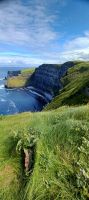 Cliffs of Moher &ndash; &copy; Barbara Pflicke (Eberhardt TRAVEL)