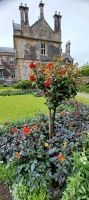Muckross Castle, See und Gärten &ndash; &copy; Barbara Pflicke (Eberhardt TRAVEL)