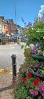 Cobh Stadtzentrum &ndash; &copy; Barbara Pflicke (Eberhardt TRAVEL)