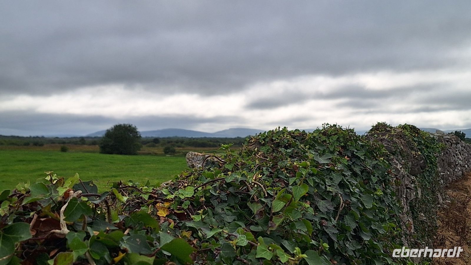 Burren &ndash; &copy; Sinah Witzig (Eberhardt TRAVEL)