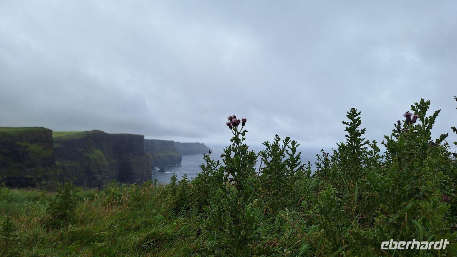 Cliffs of Moher &ndash; &copy; Sinah Witzig (Eberhardt TRAVEL)