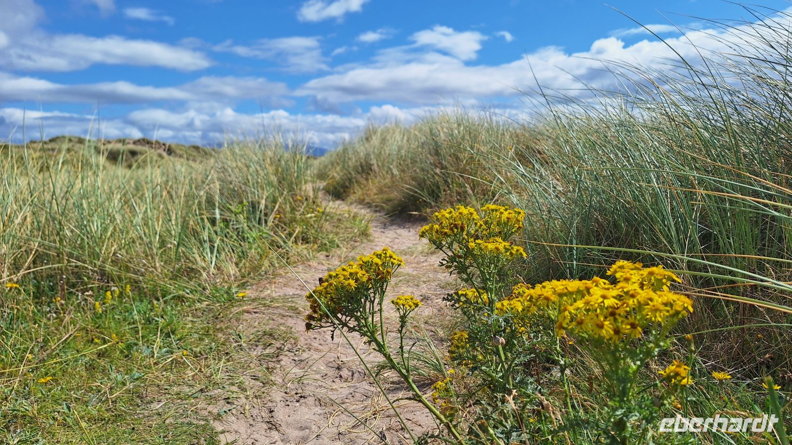 Inch Beach &ndash; &copy; Sinah Witzig (Eberhardt TRAVEL)