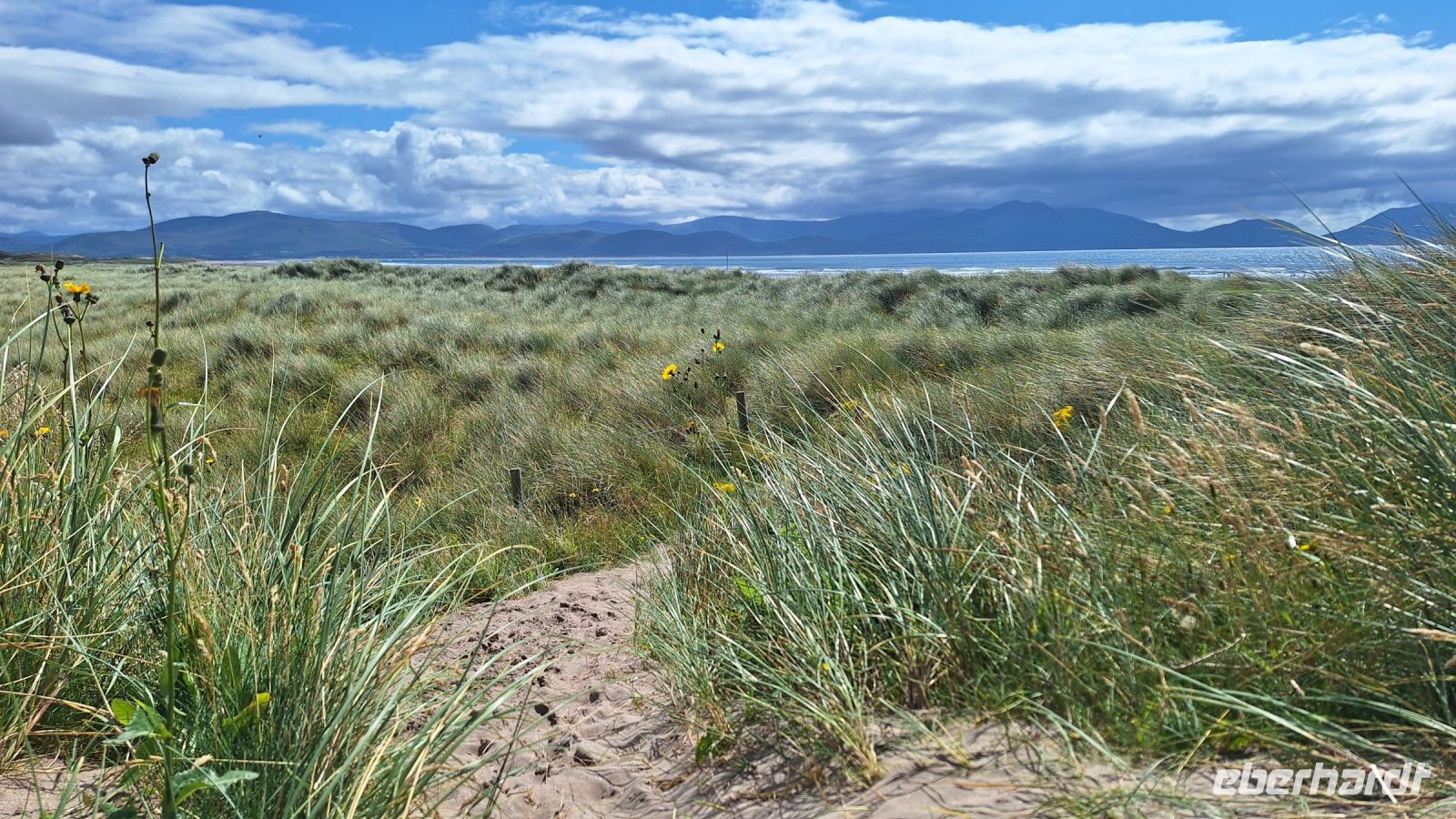 Inch Beach &ndash; &copy; Sinah Witzig (Eberhardt TRAVEL)