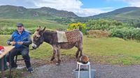 Ring of Kerry &ndash; &copy; Sinah Witzig (Eberhardt TRAVEL)