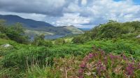 Ladies' View &ndash; &copy; Sinah Witzig (Eberhardt TRAVEL)