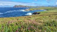 Dunmore Head &ndash; &copy; Sinah Witzig (Eberhardt TRAVEL)