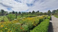 Dublin: Phoenix Park &ndash; &copy; Sinah Witzig (Eberhardt TRAVEL)