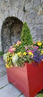 Spanish Arch &ndash; &copy; Barbara Pflicke (Eberhardt TRAVEL)