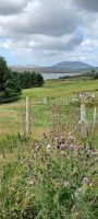 Connemara Region