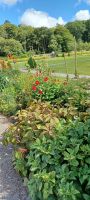 Garten am Muckross Castle