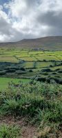 Dingle Isle &ndash; &copy; Barbara Pflicke (Eberhardt TRAVEL)