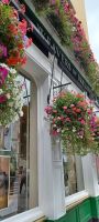 in Temple Bar &ndash; &copy; Barbara Pflicke (Eberhardt TRAVEL)