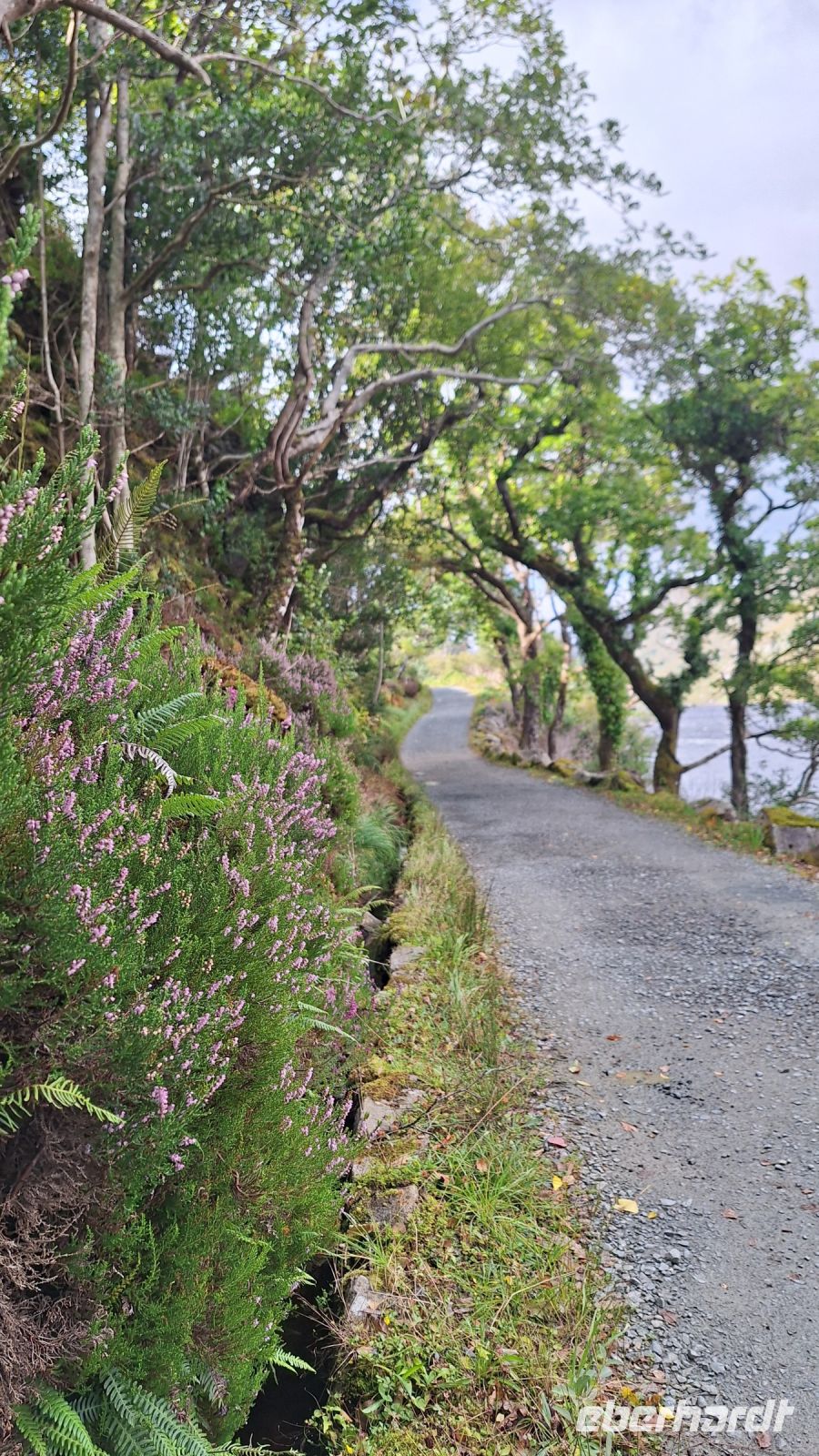 Glenveagh Nationalpark &ndash; &copy; Sinah Witzig (Eberhardt TRAVEL)