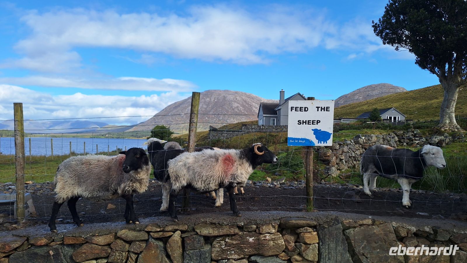 Connemara &ndash; &copy; Sinah Witzig (Eberhardt TRAVEL)