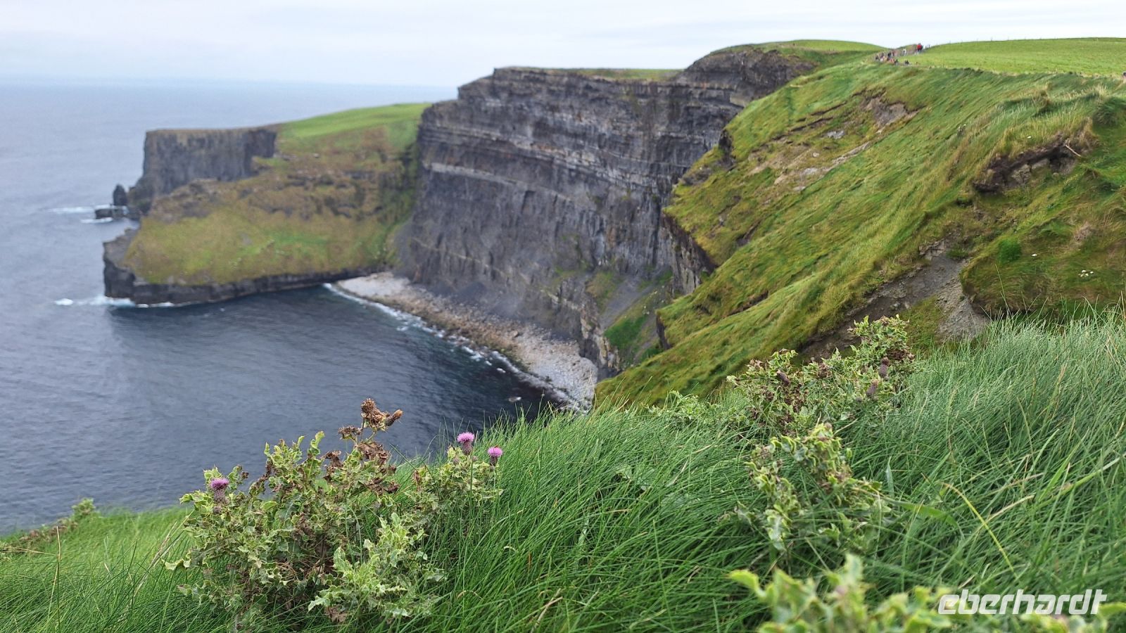 Cliffs of Moher &ndash; &copy; Sinah Witzig (Eberhardt TRAVEL)