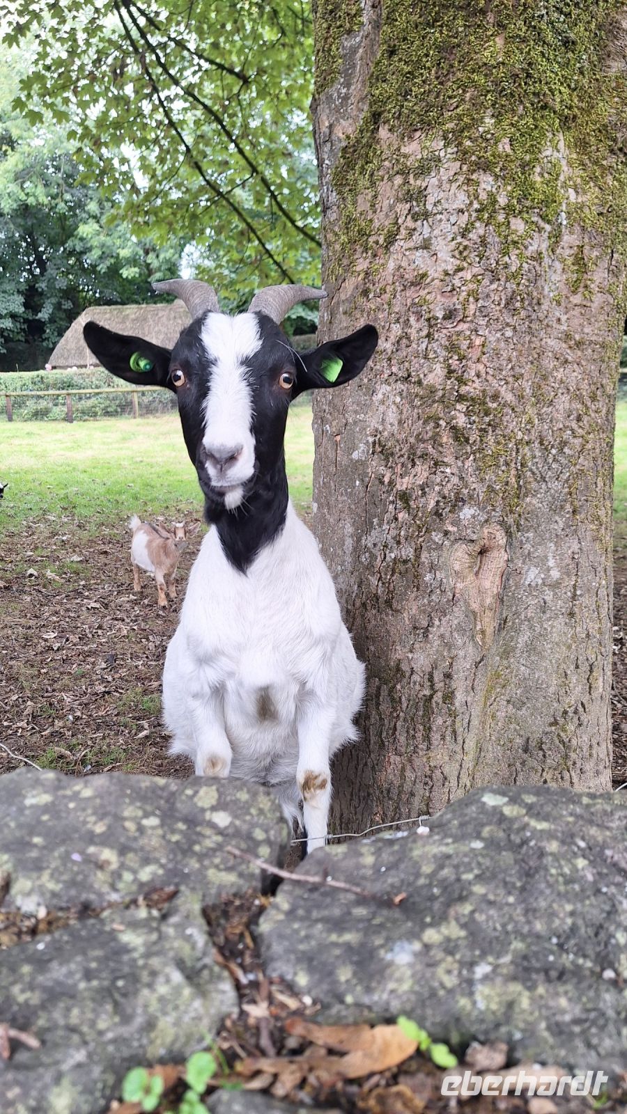 Bunratty Folk Park &ndash; &copy; Sinah Witzig (Eberhardt TRAVEL)