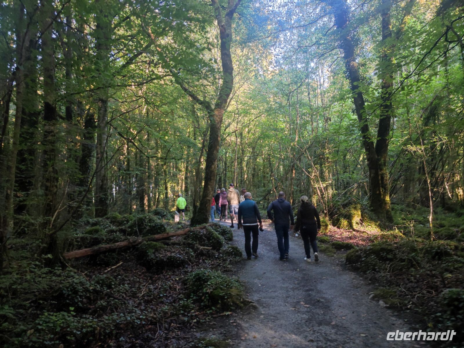 071-Gort Coole-Park &ndash; &copy; Dirk Schlosser (Eberhardt TRAVEL)