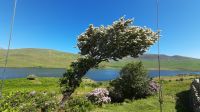 Killary Fjord &ndash; &copy; Constanze Maißel (Eberhardt TRAVEL)