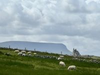 5. Tag – Letterkenny bis Leenaun – Wanderung um die Halbinsel Mullaghmore – Classiebawn Castle vor dem Ben Bulben &ndash; &copy; Andreas Wolfsteller (Eberhardt TRAVEL)