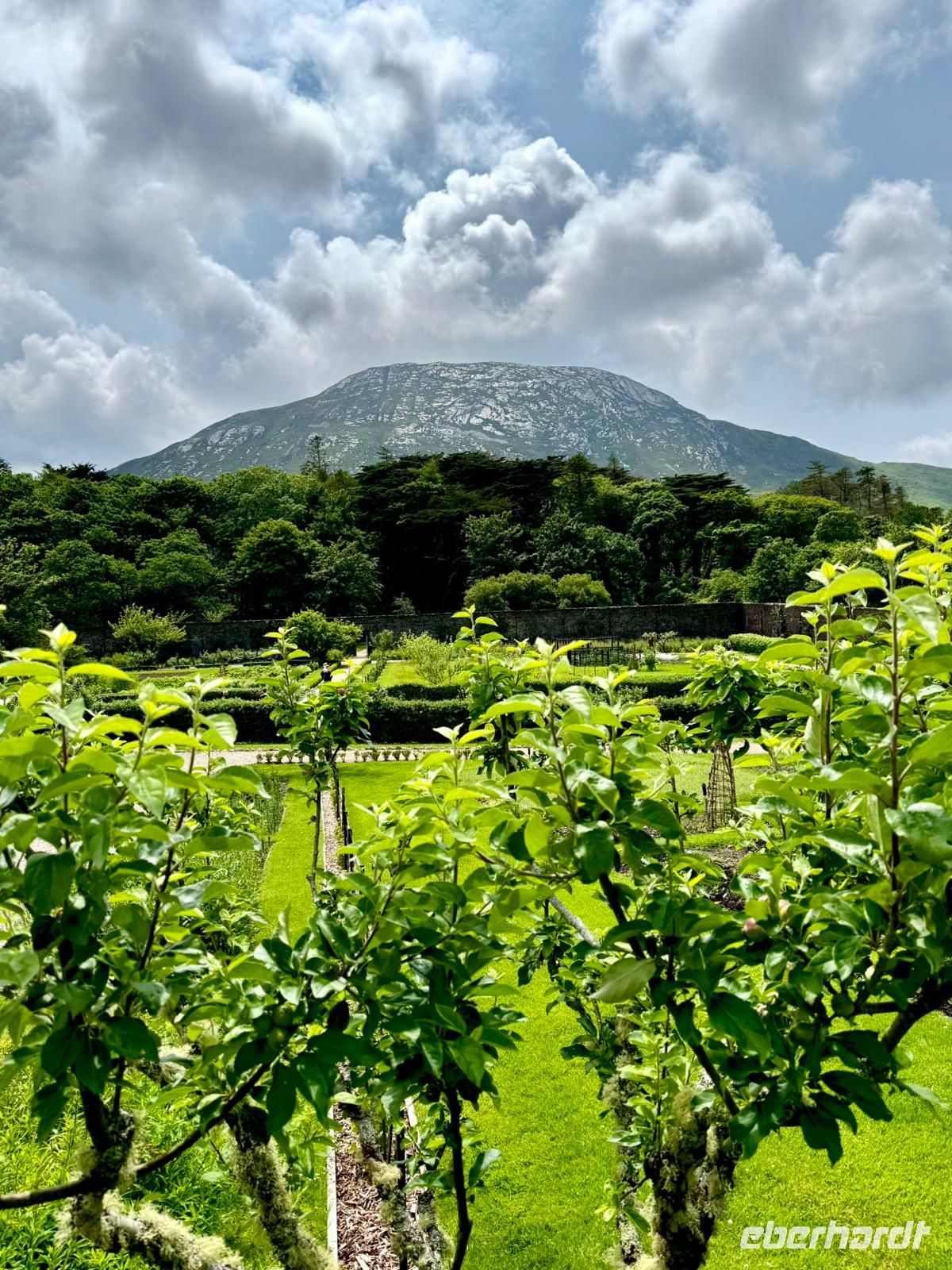 Tag 5 Connemara Blick auf Diamond Hill.jpg &ndash; &copy; Gabi Rübel (Eberhardt TRAVEL)