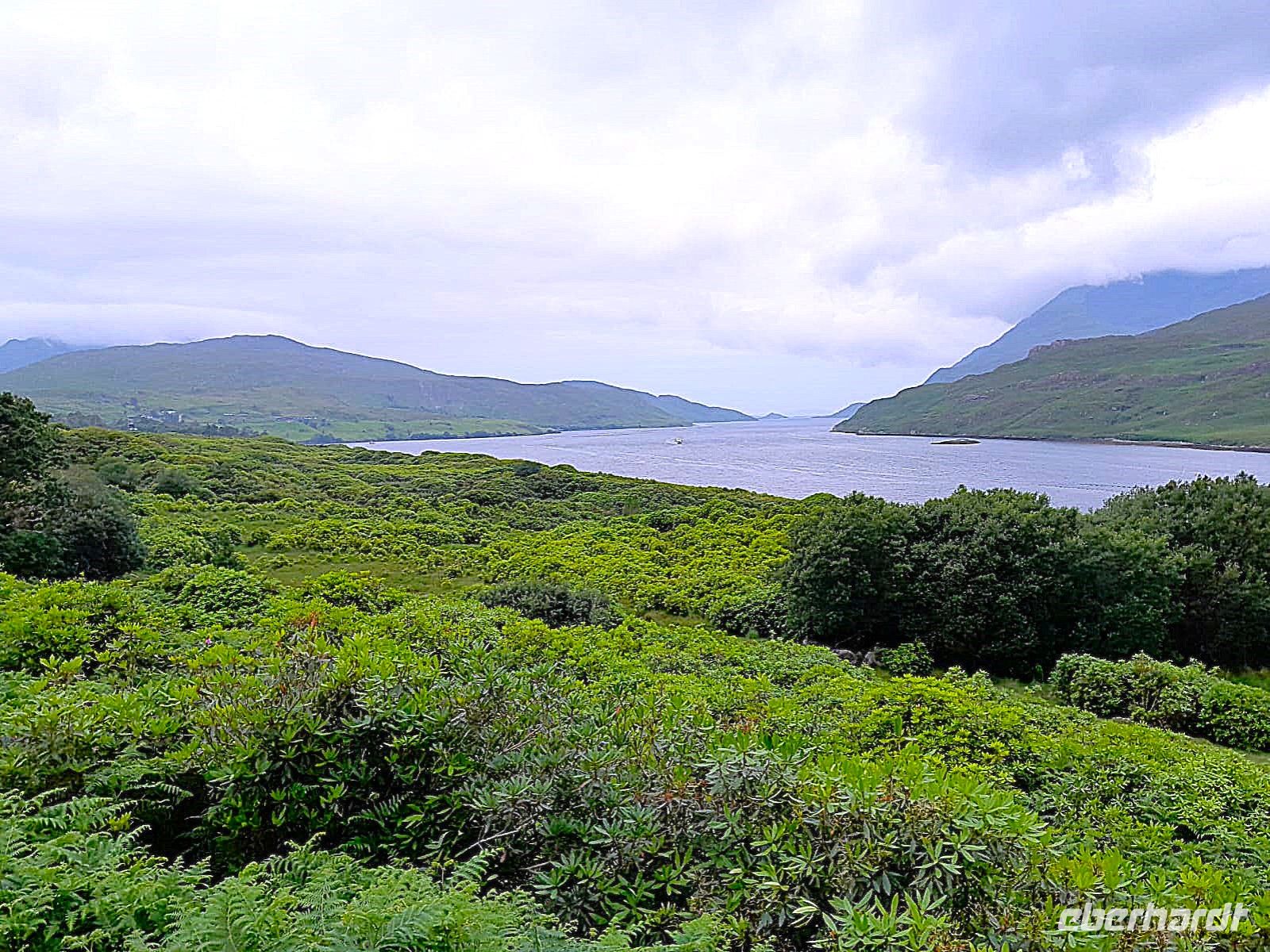 Tag 5 Connemara Killary Fjord.jpg &ndash; &copy; Gabi Rübel (Eberhardt TRAVEL)