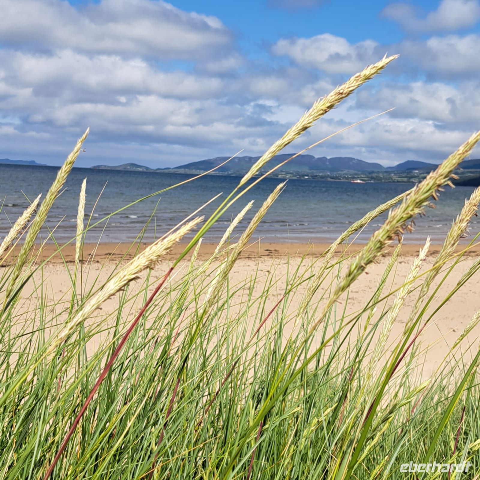 Tag 7 Dingle Inch Beach.jpg &ndash; &copy; Gabi Rübel (Eberhardt TRAVEL)