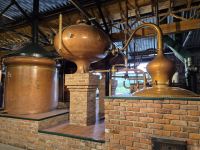 Tag 3 Croithlin Whiskey Distillery Pot Stills.jpg &ndash; &copy; Gabi Rübel (Eberhardt TRAVEL)