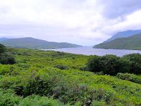 Tag 5 Connemara Killary Fjord.jpg &ndash; &copy; Gabi Rübel (Eberhardt TRAVEL)