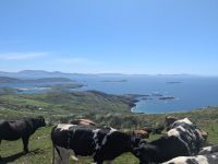 Coomakista Viewpoint  &ndash; &copy; Natalie Hady (Eberhardt TRAVEL)