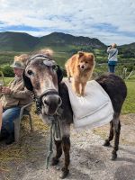 Lough Inagh Viewpoint  &ndash; &copy; Natalie Hady (Eberhardt TRAVEL)