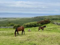 8. Tag – Klippen & Burren – Wanderung durch den Burren &ndash; &copy; Andreas Wolfsteller (Eberhardt TRAVEL)