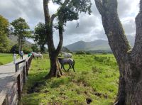 034-Kylemore Abbey &ndash; &copy; Dirk Schlosser (Eberhardt TRAVEL)