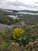 Gillie's Hut &ndash; &copy; Natalie Hady (Eberhardt TRAVEL)