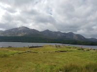 Lough Inagh Viewpoint &ndash; &copy; Natalie Hady (Eberhardt TRAVEL)