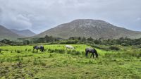 Kylemore Abbey &ndash; &copy; Sinah Witzig (Eberhardt TRAVEL)